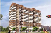   17, 107,108,163
 50, 65

