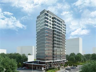  2-     Solo,         , ,  ,  