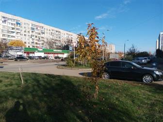  ,       ,   ,  ,    ,       