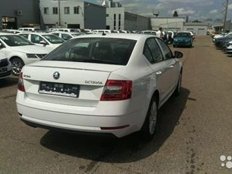   -  ,   SKODA:       -  20 000  100 000            