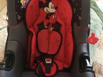  Mickey Mouse (0-13)   : /  