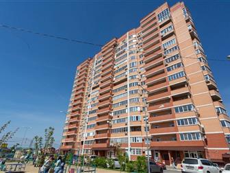 ID  : 18095113      ,           !    