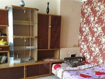  2   42 , ,  1/2        ,    - ,   -  , , ,  