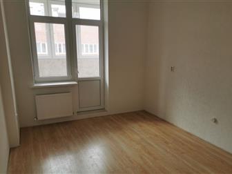   ,       (        )     ,    