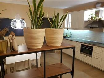    , 2       (16  18 , ) +  - 27 ,       , 
  