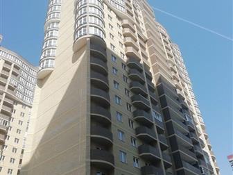  1  40-  178 3,     ,   2019  ,   ,     ,   