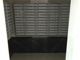         2- ,       , , 
   - ,   