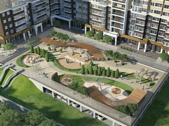  1   1      ,  ,     1-2  2021 ,        