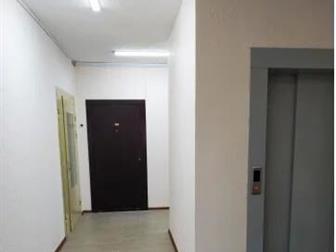         ,   ,      ,  ,  , ,    