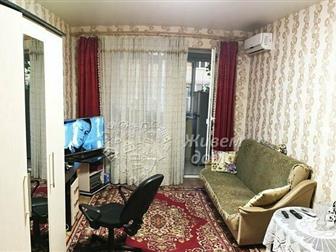   ( ) 1-,  ,   , , ,   - 13 , ,     ,  