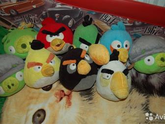        Angry Birds,    ,     , : /  