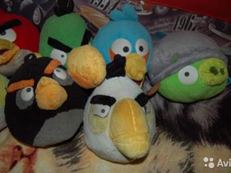        Angry Birds,    ,     , : /  