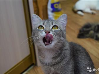  -1 ,           ,  , , ,       ,    5,  