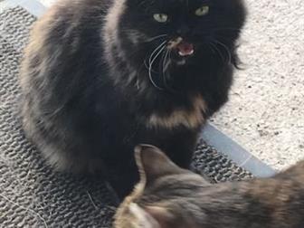       ,      ,      ,  
