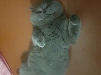     ,  !   )))  