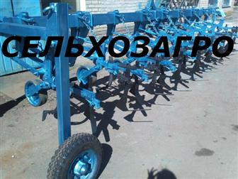  foto    -5, 6     68705035  