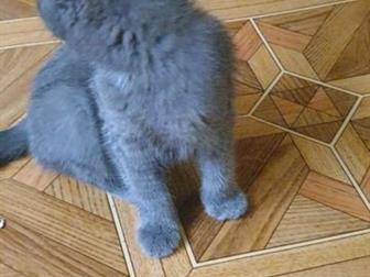  , ,   ,    1,5 , ,  ,  ,   ,  ,   7-8  