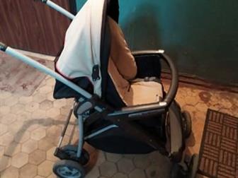   Peg Perego Atlantico   ,      5- ,    20    :    