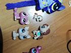 Littlest Pet Shop