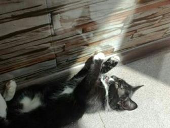   ??     ??    ,    -?,   ,    ?  