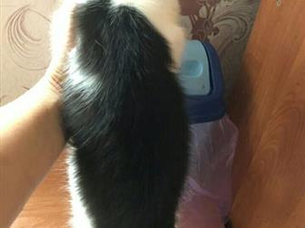     6   ,   ,  ,  