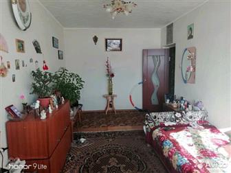  2-    ,  ,    ,  ,  ( ), ,  ,  ,  