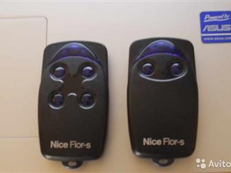 2  Nice Flor S   ,   , ,     