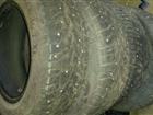    gislaved nord frost 100   195/65R15 33658696  -