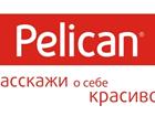    Pelican -  ,    36592068  