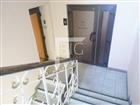 ID #3706. ������������ � ������ ������� ��������� 297 ��.�. 