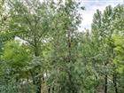 Артикул - 29482775

Ипотека 6,5%! 
Бесплатный переезд от ком