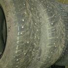 gislaved nord frost 100   195/65R15