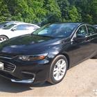 Chevrolet Malibu 1.5 AT, 2016, �����
