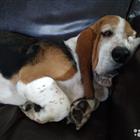 ����� � ������ ����
