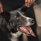 ������������� ��� ��� � ������ ����