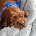 �������������� ����� ����������� ������� �������� ���