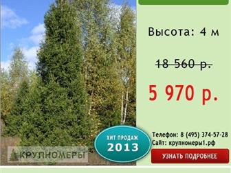  foto    ,  70%! 32327453  