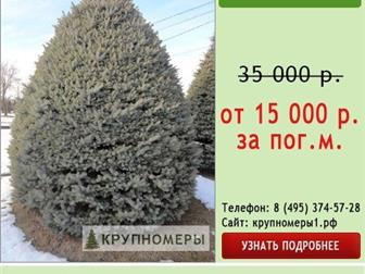      ,  70%! 32327453  