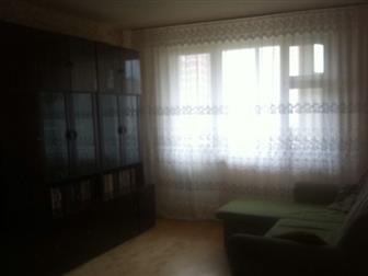  foto     , 66545158  