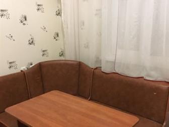  foto   1-    , 67697081  