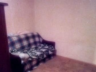  foto       , 67847730  