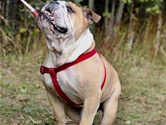 ����� � ��������  �������� � ������