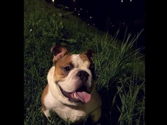 � ����� � ���������������� ����� � ����� ������� ���� ��� , 10 ������� , �� ����������� ,������������� , ����� ����� ,  ��������, ��� ����������, ��� � ������, �� � ������