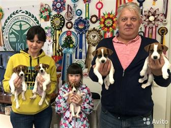 ����� �������� 11,  06, 2019�,  3 ������� � 2 ��������,  � �����������, ����� ����� ����, ����: ������� ������, ������� ������ (�����),������� ������, �������� � � ������