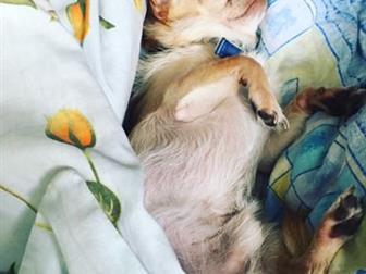 ������ � ��������, �� ���� ����� ������������, ������� �������� � ���������, ����� ��� �������� �������, ������ �� ����� ����������, ������� �������� ������ , ��� � ������