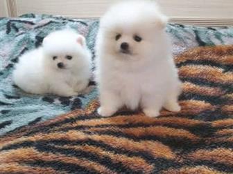 ����� ������� ������ ����� ��������� ������ � ��������� ������ � �������� ����� �������� ������, ���������� ����������, �������� ���� �����, � ������� ���� ������ � ������