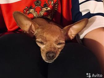 ����� �� ������������� ����� � ������ ���� �������� ���-�������(������� ��������, ��� �������� � �������, ��������������)�������: 10, 10, 2010, ����� � �������� � ������