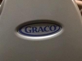   Graco Baby Delight Disney       ,        ,  , :  