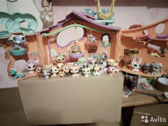   littlest pet shop     35     ,    : /  