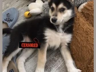 �������� ����� 2������ � ������